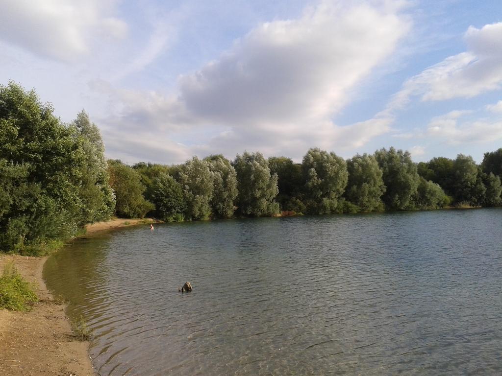 B&B Am See Koeln - Privatzimmer Ruang foto