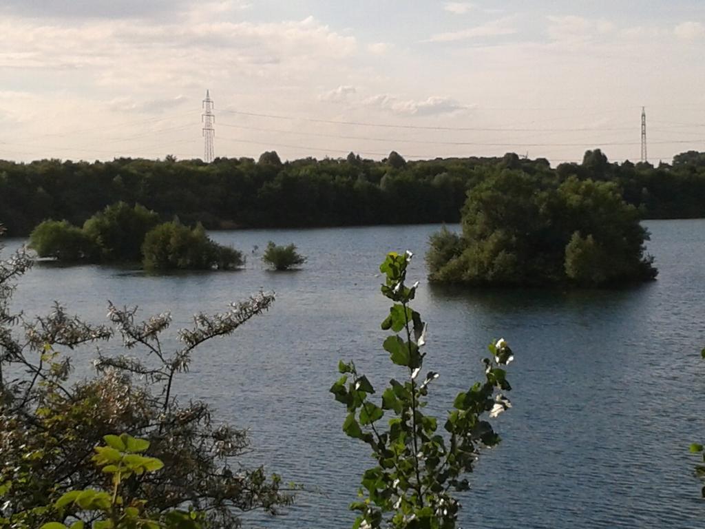 B&B Am See Koeln - Privatzimmer Ruang foto